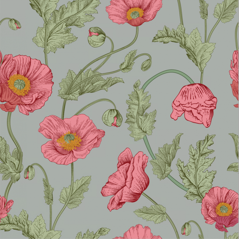 Poppy blomma ljusgrå