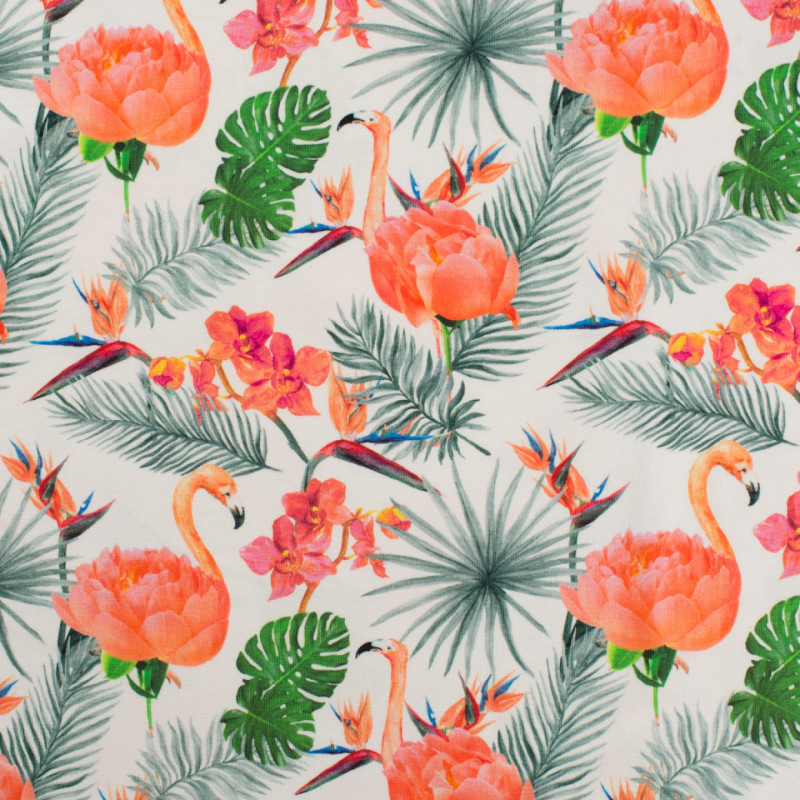 Flamingo papegojblomma