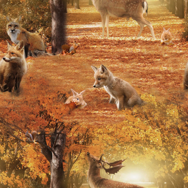 Friends in the forrest