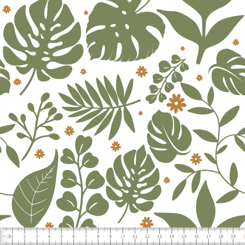 Monsteraiamagi vit grön