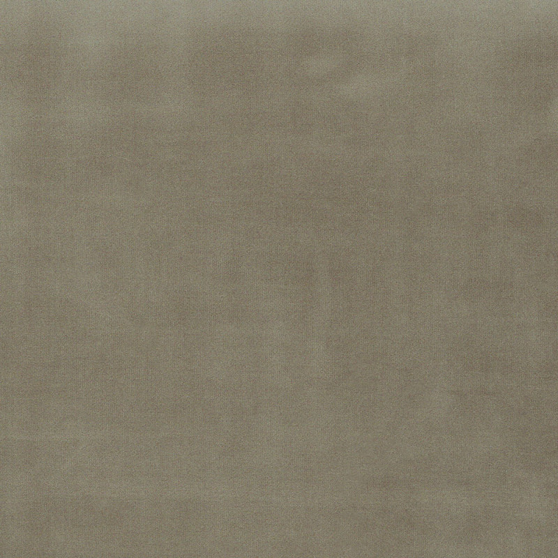 Velvet French light grey