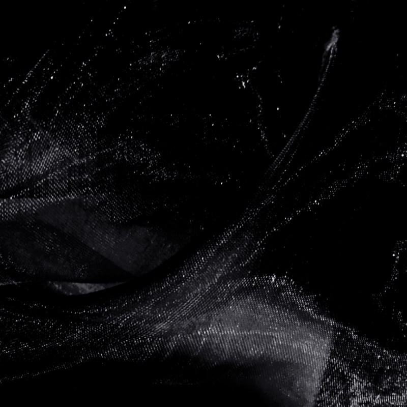 Organza black