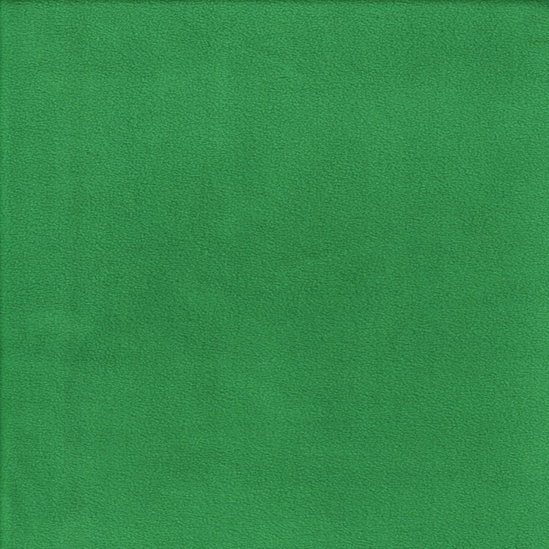 Micro fleece green