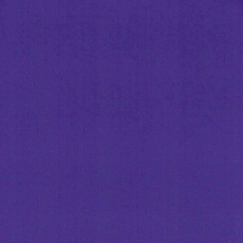 Badlycra 10 purple