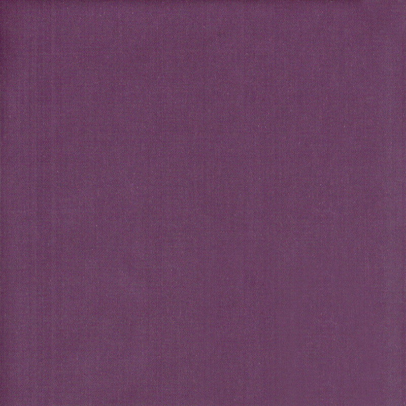 Beaver nylon 06 purple