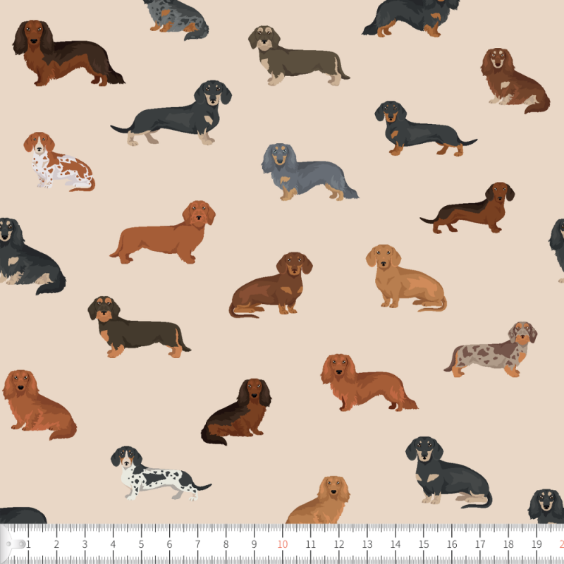 Love dachshund beige
