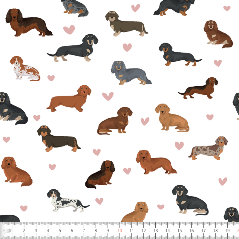 Love dachshund vit hjärtan