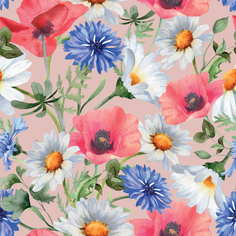 Blåklint vallmo rosa