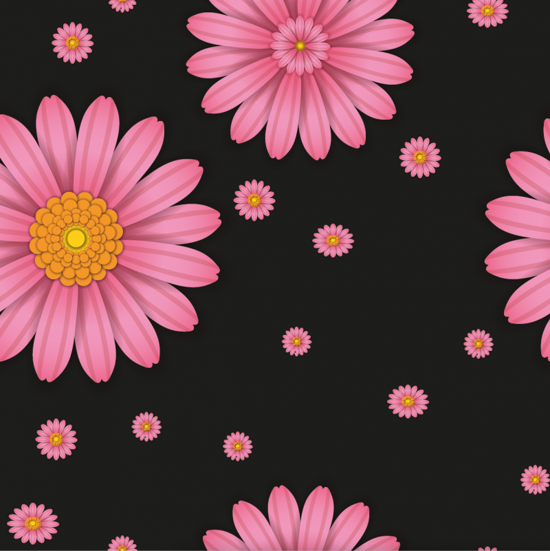 Marguerite rosa svart