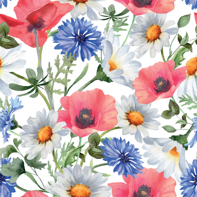 Blåklint vallmo vit