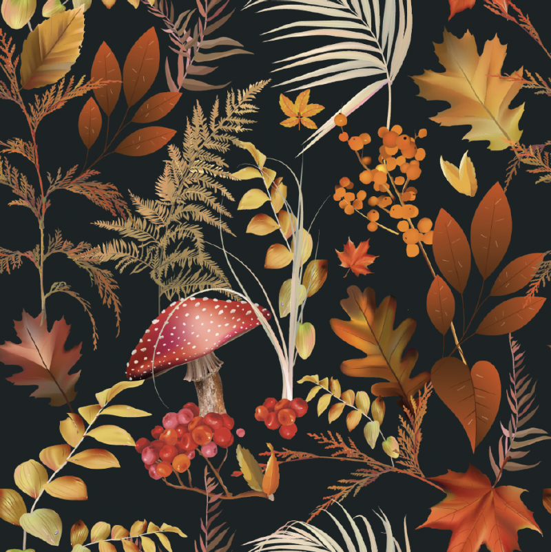 Rönnbär höst svart