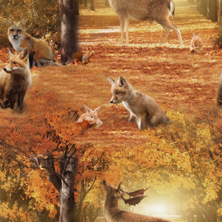 Friends in the forrest