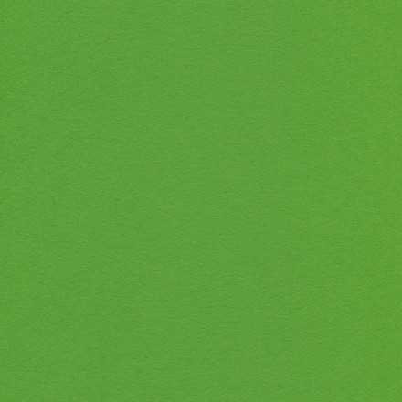 Hobby blanket 13 light green