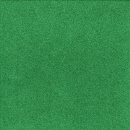 Micro fleece green