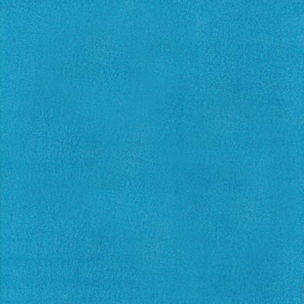Fleece 06 turqouise