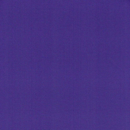 Badlycra 10 purple