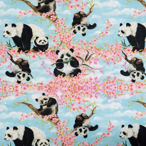 Panda Shi Shi