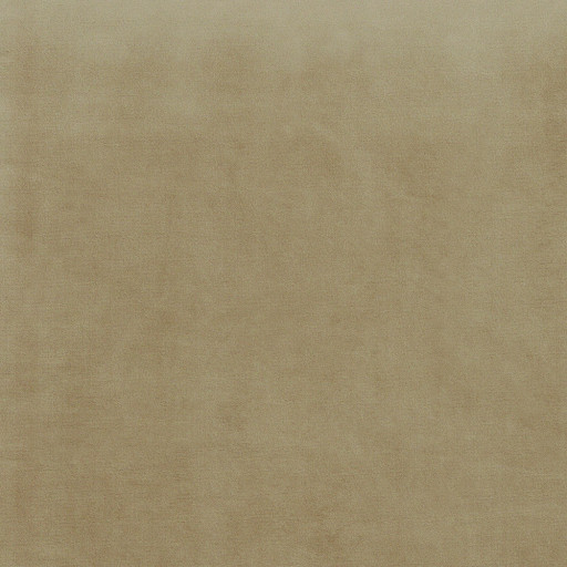 Velvet French beige