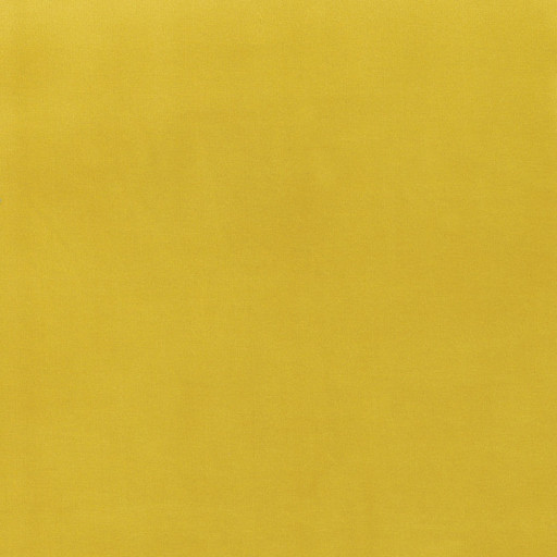 Velvet French yellow