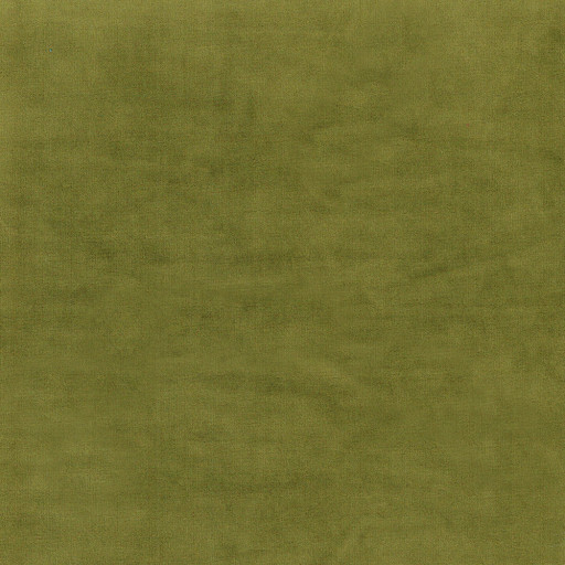 Velvet French olive