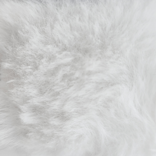 Fur Björn