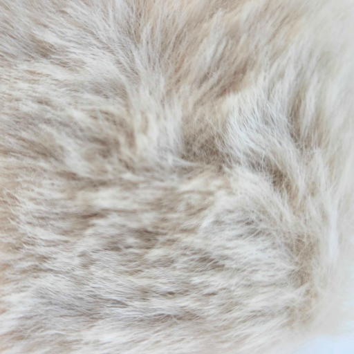Fur Björn
