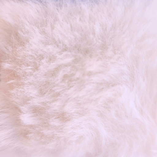 Fur Björn