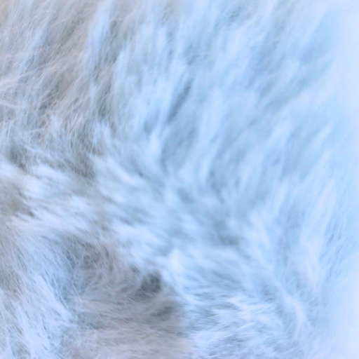 Fur Björn