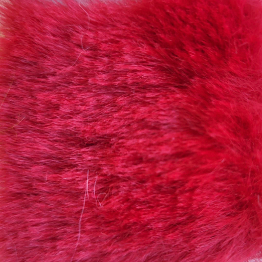Fur Björn