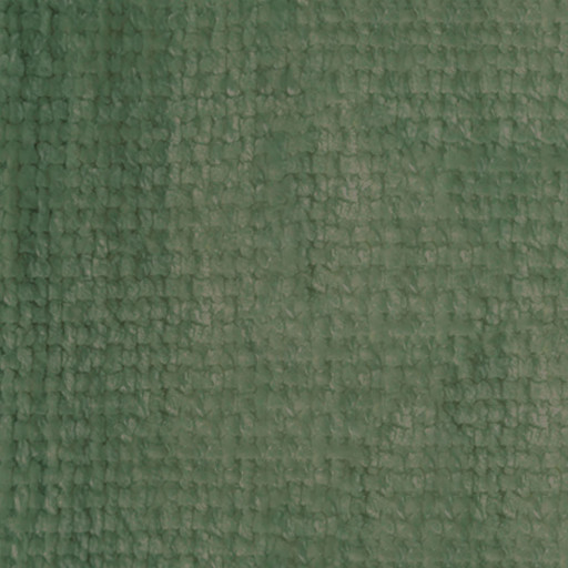 Furniture fabric