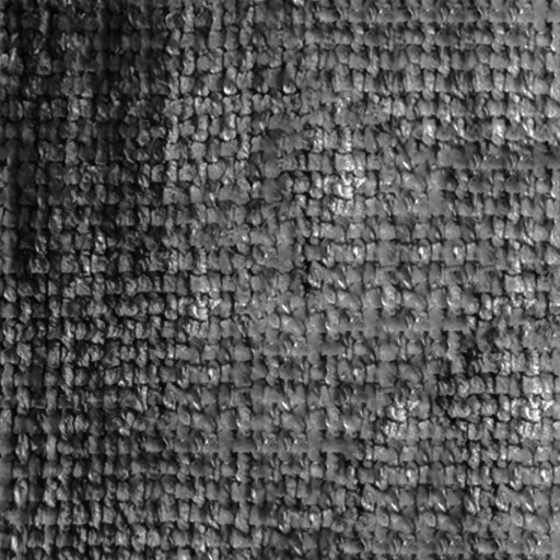 Furniture fabric